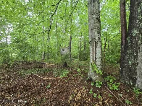 288 Andy Ln, Winfield, TN 37892 photo 37