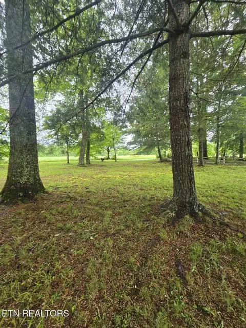 288 Andy Ln, Winfield, TN 37892 photo 35