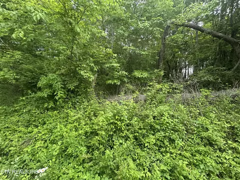 Hensley Rd, Jamestown, TN 38556