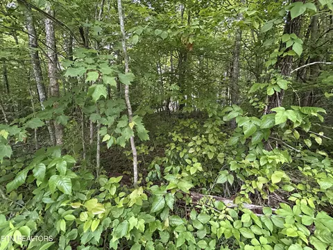Hensley Rd, Jamestown, TN 38556