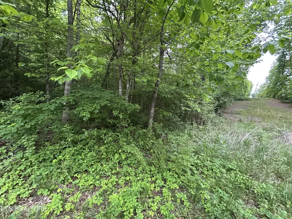  Hensley Rd, Jamestown, TN 38556 photo 2