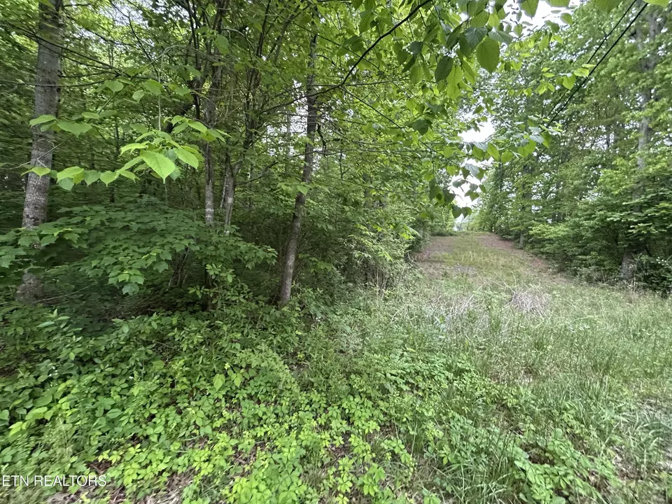  Hensley Rd, Jamestown, TN 38556 photo 3