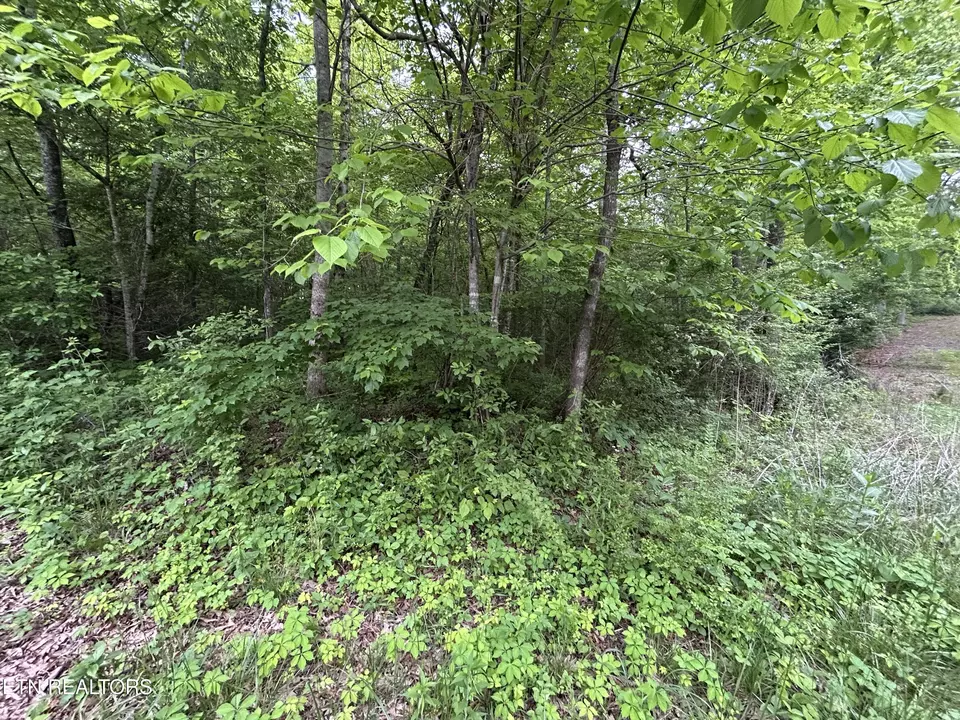  Hensley Rd, Jamestown, TN 38556 photo 1