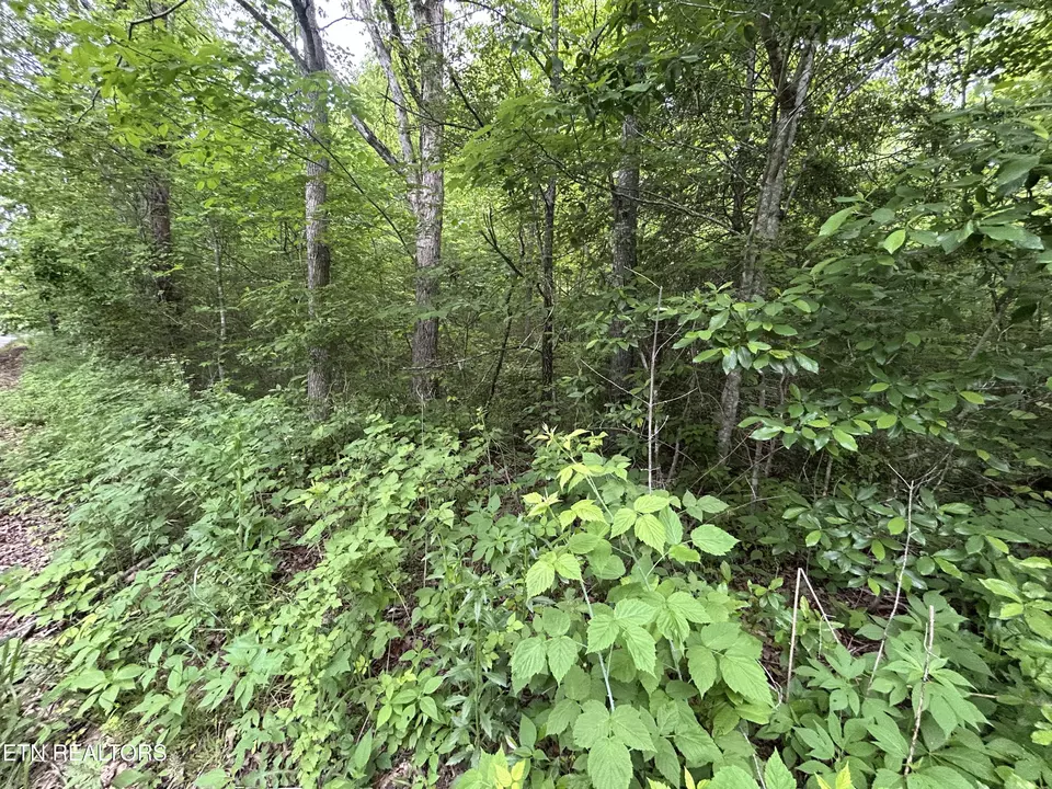  Hensley Rd, Jamestown, TN 38556 photo 4