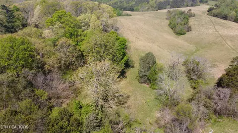 Mans Hollow Rd, Kingston, TN 37763