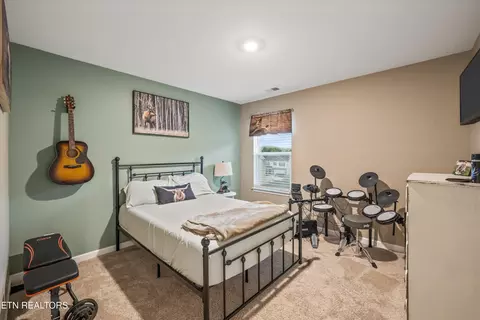 9502 Joy Denise Ln, Heiskell, TN 37754 photo 19
