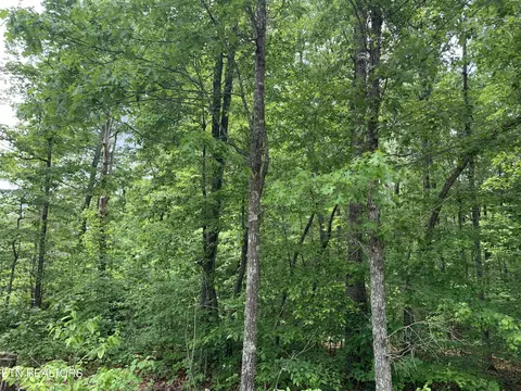 Summerwind Drive, Crossville, TN 38555