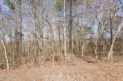 113 Chanusi Way, Loudon, TN 37774