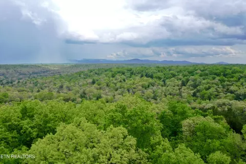 Christenson Rd, Deer Lodge, TN 37726