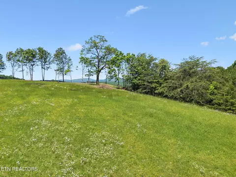 00 Lot 9 10 Big Neck Rd, Grandview, TN 37337
