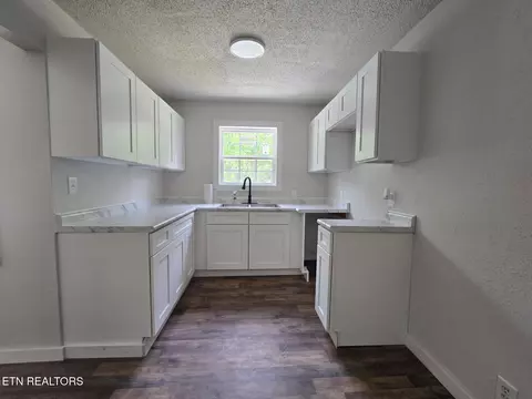Kitchen - 678 Skyline Dr, Oneida, TN 37841 photo 4 of 4
