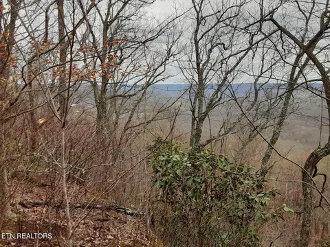 95 43 Acre Sheep Bluff Rd, Cookeville, TN 38506