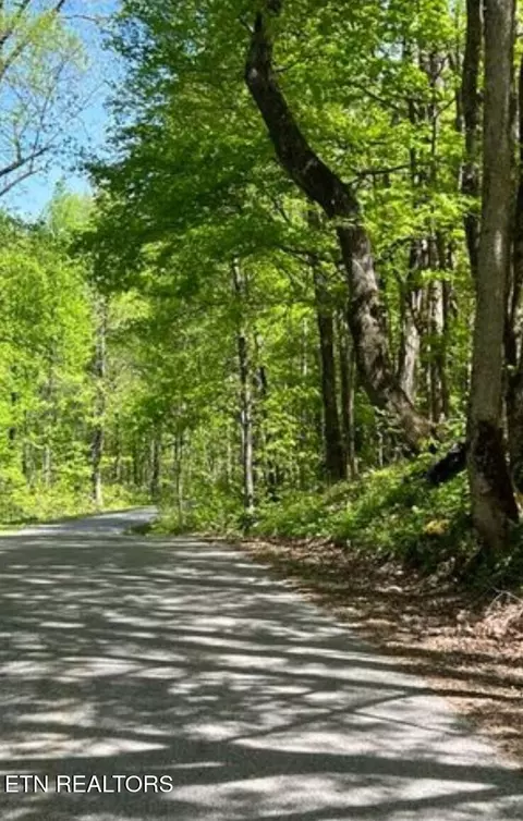 95 43 Acre Sheep Bluff Rd, Cookeville, TN 38506
