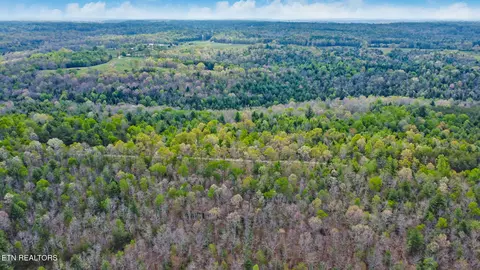 70 69 Acres Old Collins Rd, Deer Lodge, TN 37726
