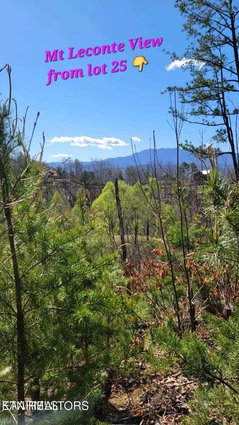 Walker Trail Tr, Sevierville, TN 37876