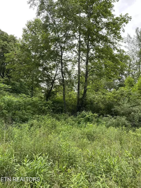 lot2 R2 Mill Rd, Wartburg, TN 37887
