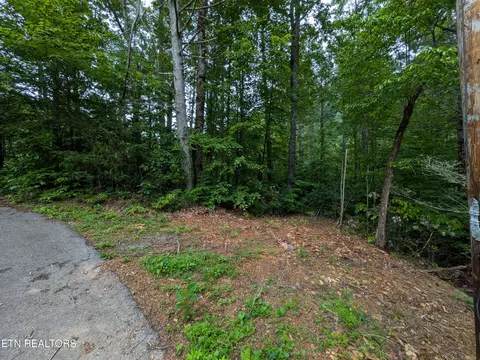 438 Kurts Corner Rd, Townsend, TN 37882