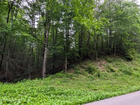 438 Kurts Corner Rd, Townsend, TN 37882 photo 2
