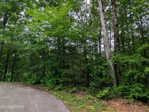 438 Kurts Corner Rd, Townsend, TN 37882 photo 4