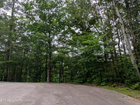 438 Kurts Corner Rd, Townsend, TN 37882 photo 3