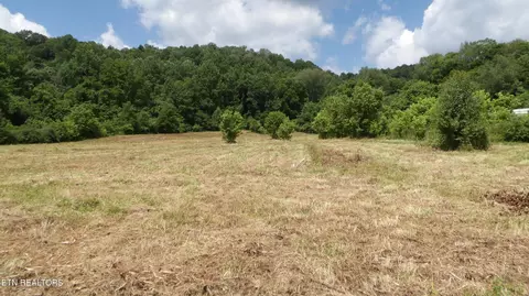5 6 Ac Lonnie Reecer Rd, Celina, TN 38551