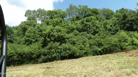5 6 Ac Lonnie Reecer Rd, Celina, TN 38551