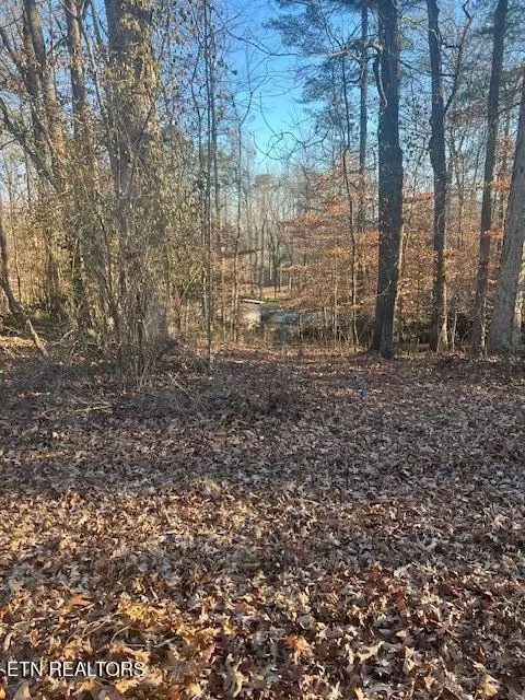 Beechwood Lane, Clinton, TN 37716
