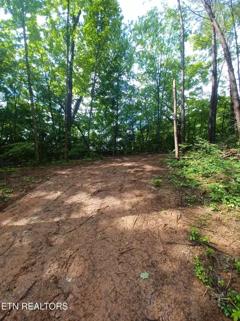 0 Huffaker Dr, Strawberry Plains, TN 37871