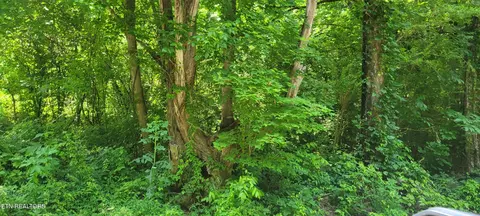 Unicoi Church Rd, Tellico Plains, TN 37385