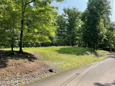 323 Chelaque Way, Mooresburg, TN 37811