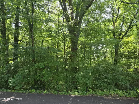 0 NE Snowood Dr, Knoxville, TN 37918