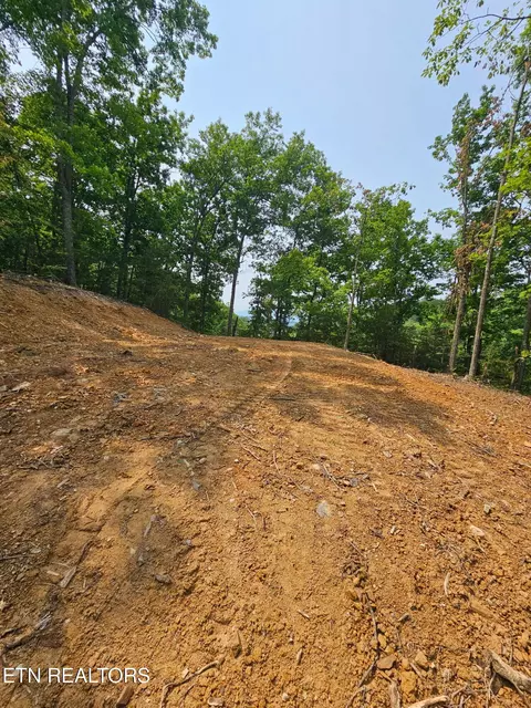 Sharp Rd, Sevierville, TN 37876 photo 5