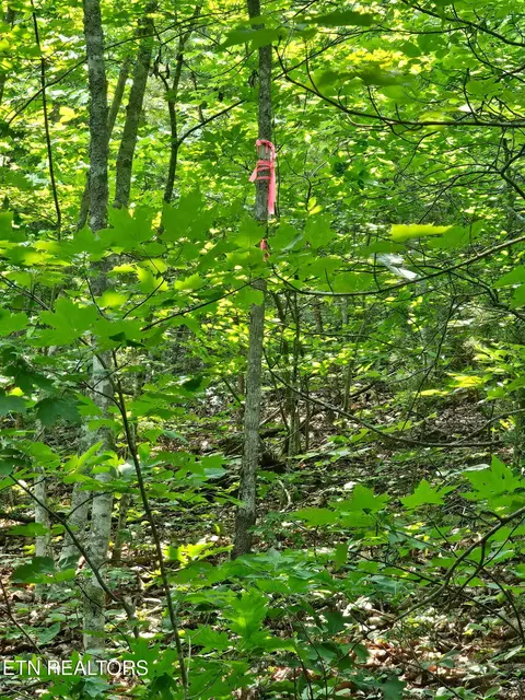 Sharp Rd, Sevierville, TN 37876 photo 9