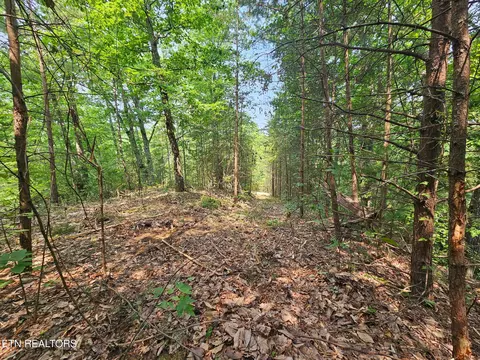 Sharp Rd, Sevierville, TN 37876 photo 7