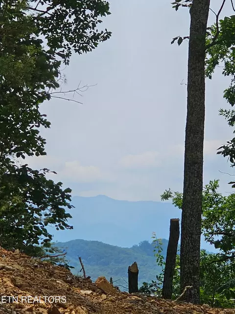 Sharp Rd, Sevierville, TN 37876 photo 6