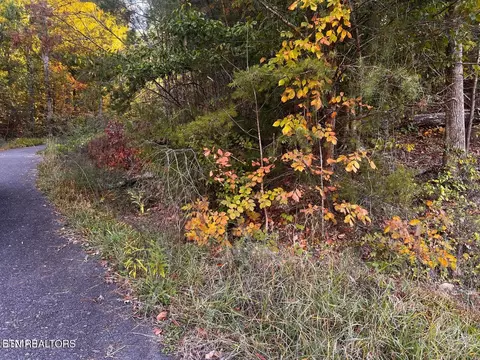 Sharp Rd, Sevierville, TN 37876 photo 12