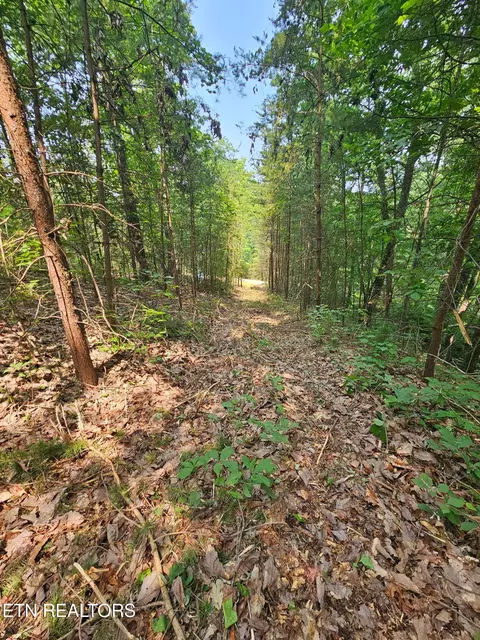 Sharp Rd, Sevierville, TN 37876 photo 8