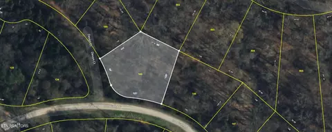 lot145 E Skyline Pl, Baneberry, TN 37890