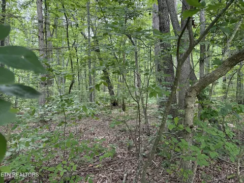 Lollar Drive, Monterey, TN 38574
