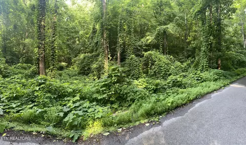 Lower Reinhart Rd, Dandridge, TN 37725