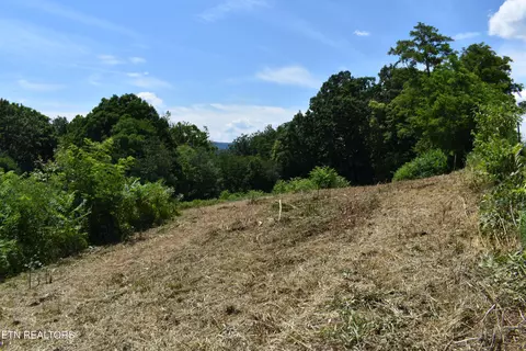 417 River Rd, Harrogate, TN 37752 photo 8
