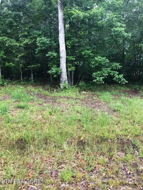 215 Nehasane Ln, Crossville, TN 38572