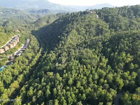 Wiley Oakley Drive, Gatlinburg, TN 37738