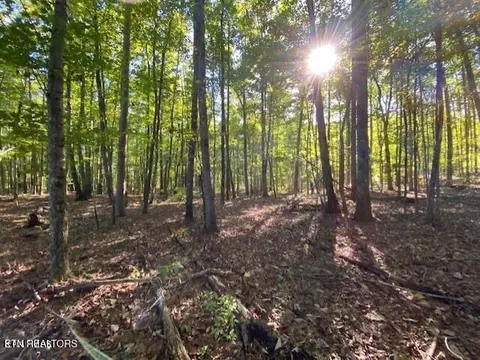 Partridge Tr, Grandview, TN 37337