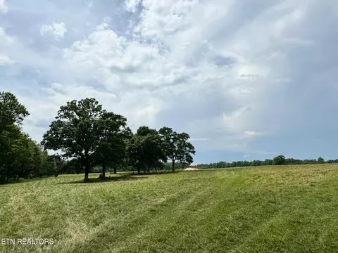 Old Bean Shed, Clarkrange, TN 38553 photo 8