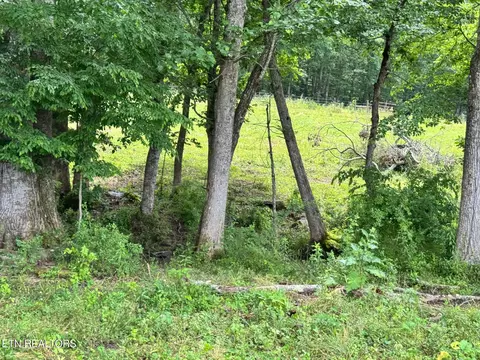 Old Bean Shed, Clarkrange, TN 38553 photo 3