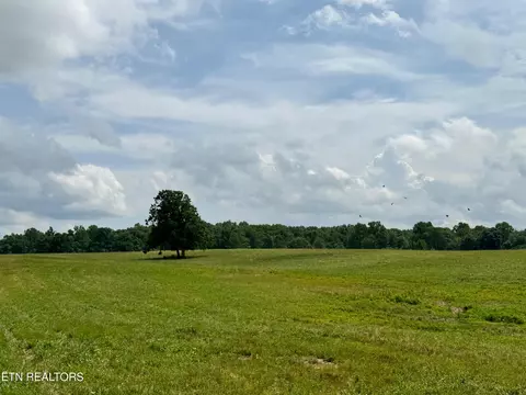 Old Bean Shed, Clarkrange, TN 38553 photo 12