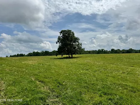 Old Bean Shed, Clarkrange, TN 38553 photo 1