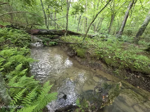 12 Street Place Loop, Monterey, TN 38574