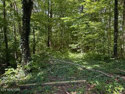Bates Gibson Rd, Sevierville, TN 37876